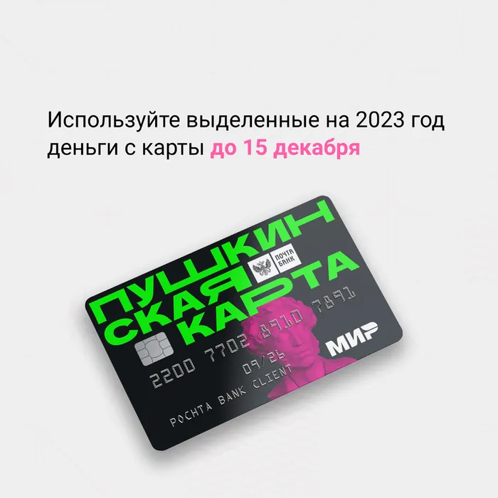 пушкарта_2